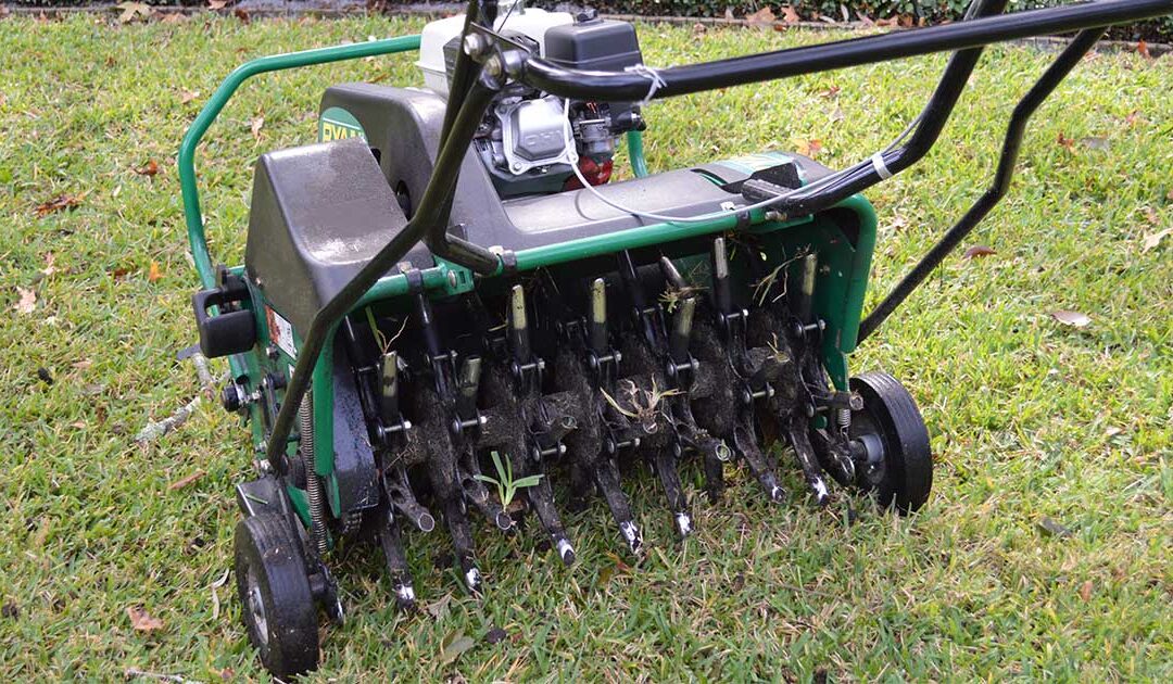 4 Simple Reasons to aerate