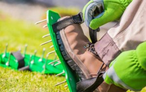 Spiked lawn aerator shoes