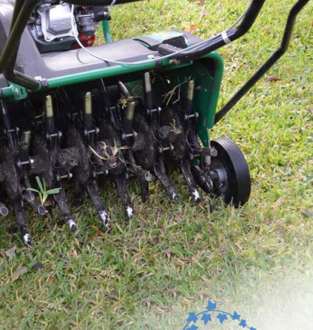 4 Benefits Of Lawn Aeration