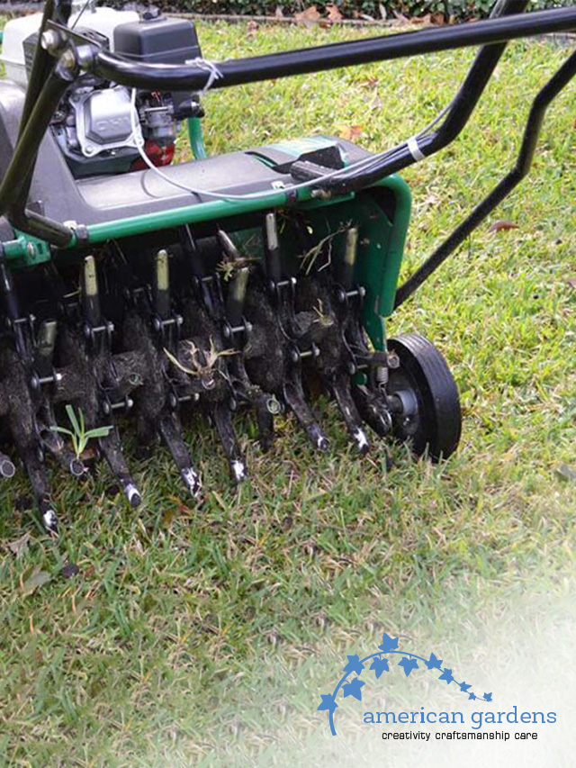 Aerator for lawn