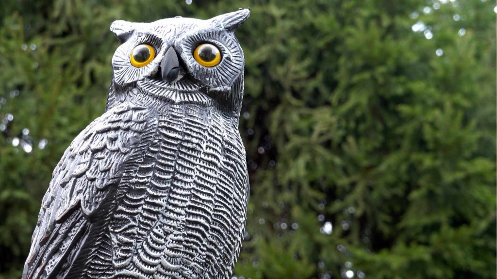 Owl garden statue