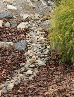 Effective Backyard Drainage Solutions- Dry Creek Bed
