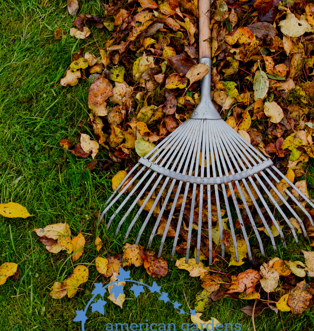 5 Fall Landscaping Tips