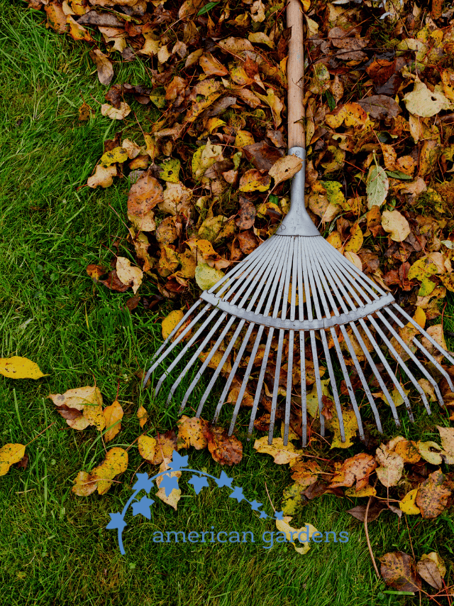 5 Fall Landscaping Tips American Gardens LLC