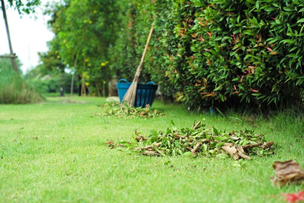 The Best Ways To Use Fallen Leave- Compost Pile