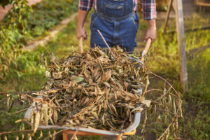 A full wheelbarrow of garden waste