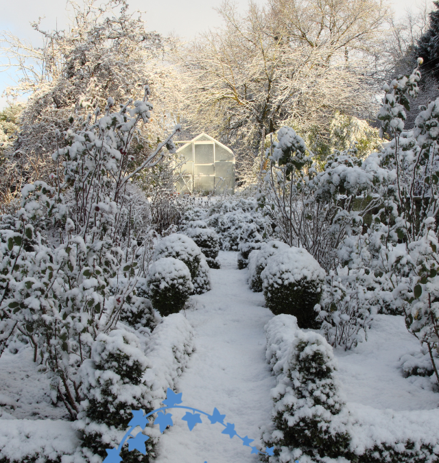 Landscaping Ideas To Try This Winter