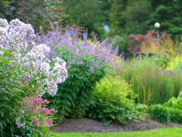 Why Rain Gardens Are Perfect For Your Chicago Landscape
