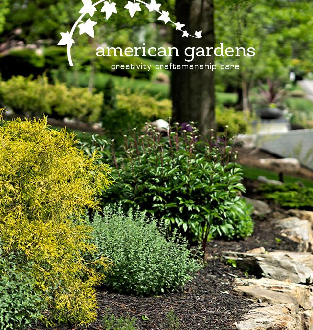 Why Rain Gardens Are Perfect For Your Chicago Landscape