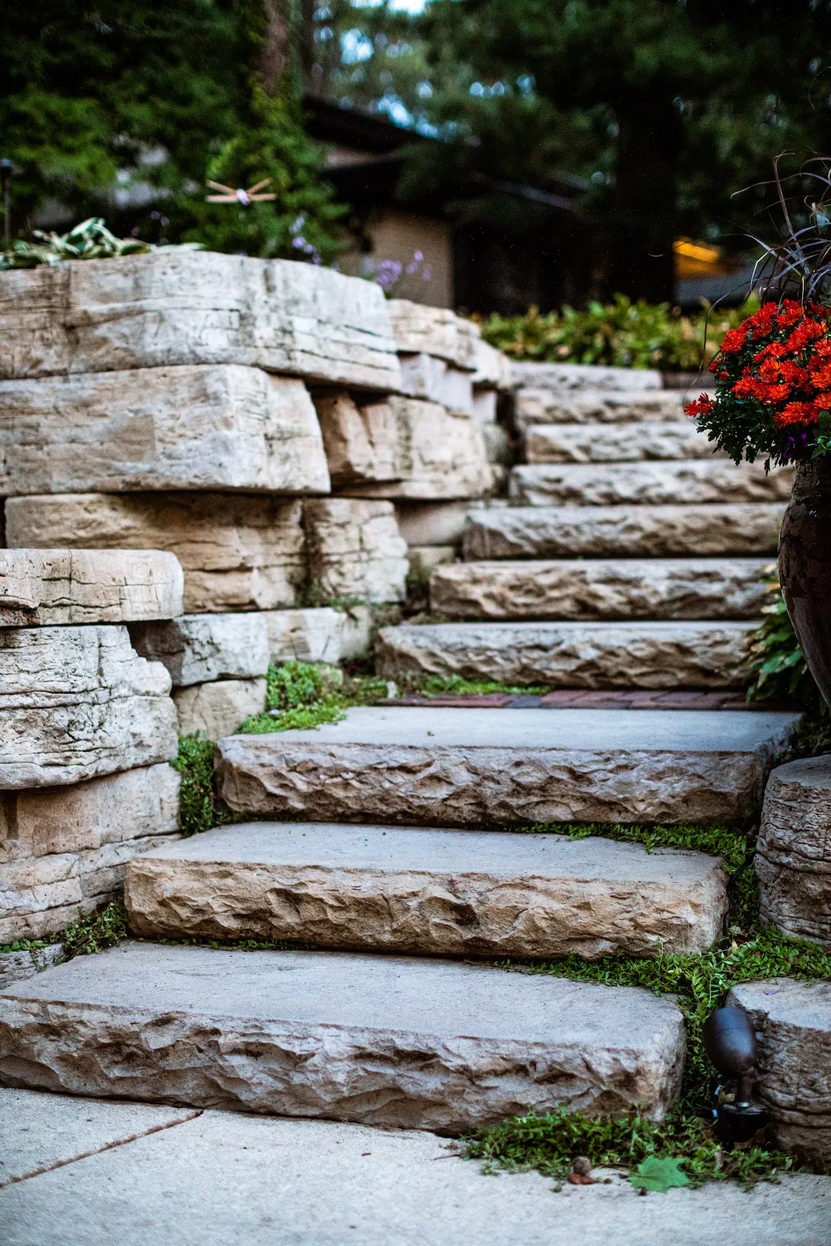 Easy Fall Landscaping Ideas For Your Milwaukee Home (5)