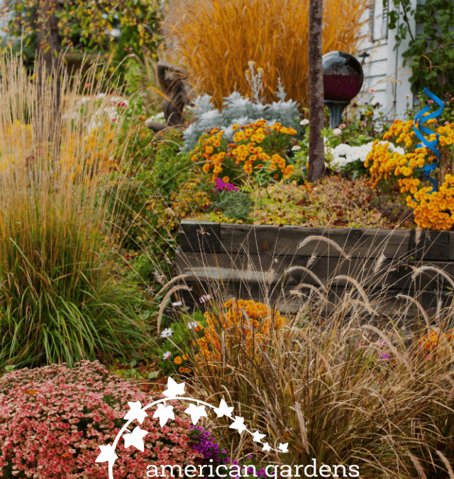 Easy Fall Landscaping Ideas For Your Chicago Home