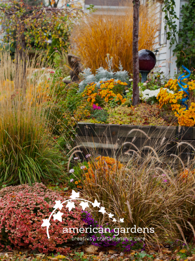 Easy Fall Landscaping Ideas For Your Chicago Home