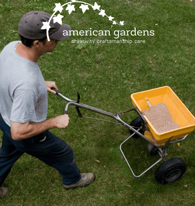 How To Fertilize Your Lawn In Late Fall
