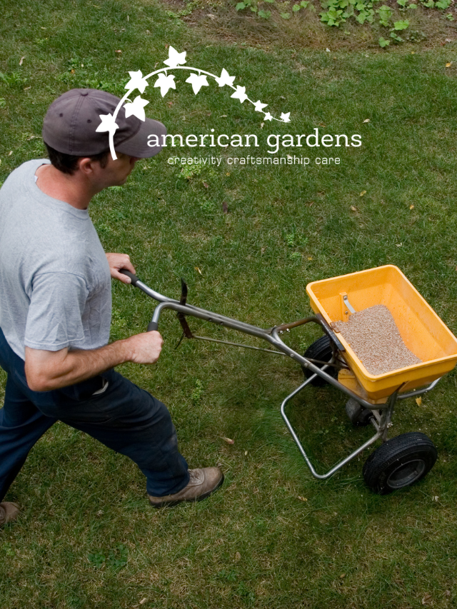 How To Fertilize Your Lawn In Late Fall