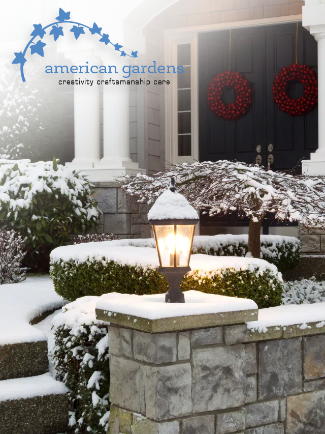 7 Tips To Enhance Your Winter Landscape